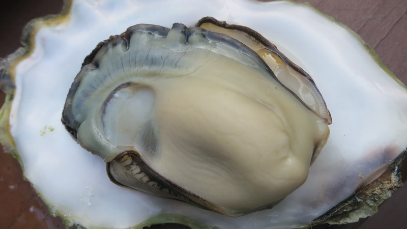 sIMG_5612.jpg