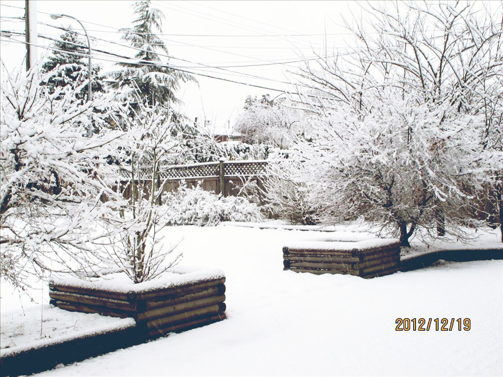 2012第一场雪  (3).jpg