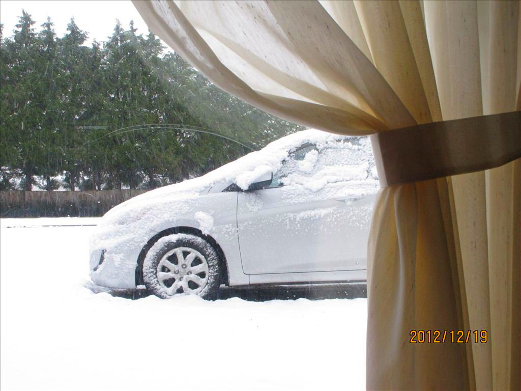 2012第一场雪  (5).jpg