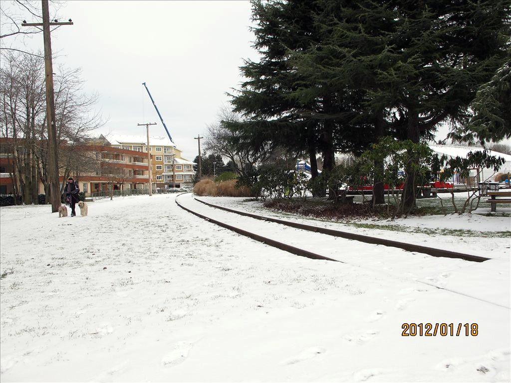 2012年 雪17.jpg