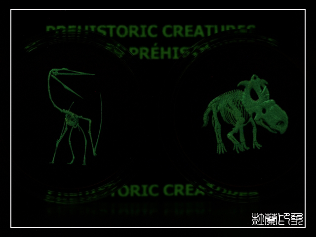 The-2nd-Dino-Coin-Glow-In-The-Dark-Will-Emerge-Soon